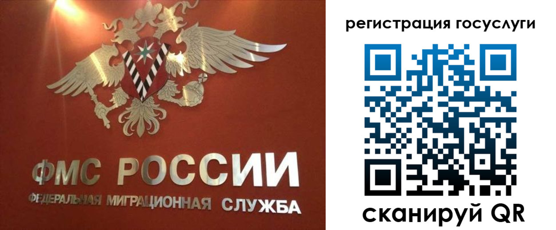 прописка ребенка в Ряжске